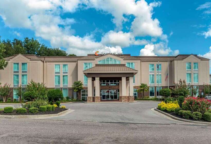 فندق Comfort Inn