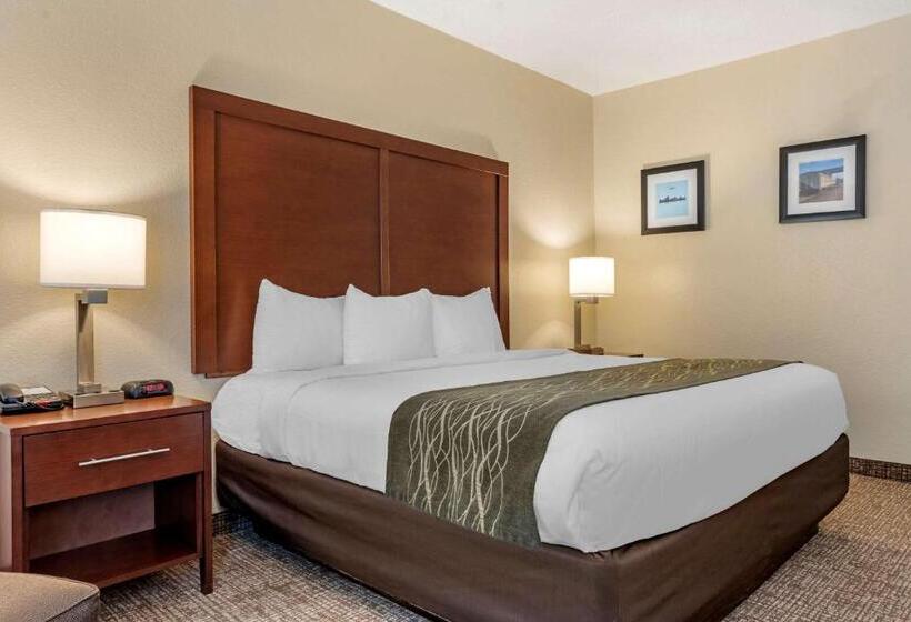 فندق Comfort Inn