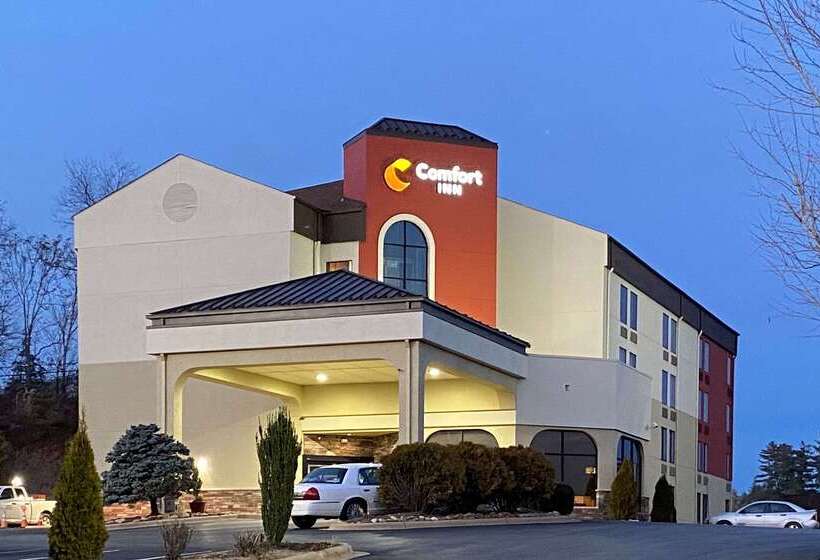 فندق Comfort Inn North Of Asheville