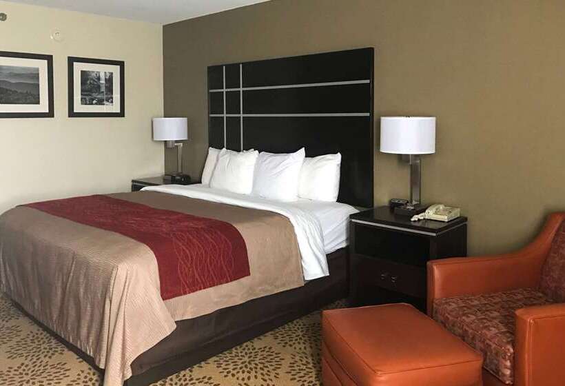 فندق Comfort Inn North Of Asheville