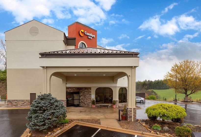 فندق Comfort Inn North Of Asheville