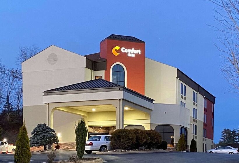 فندق Comfort Inn North Of Asheville