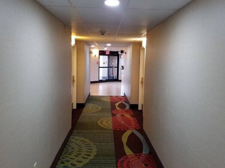 فندق Comfort Inn North Of Asheville