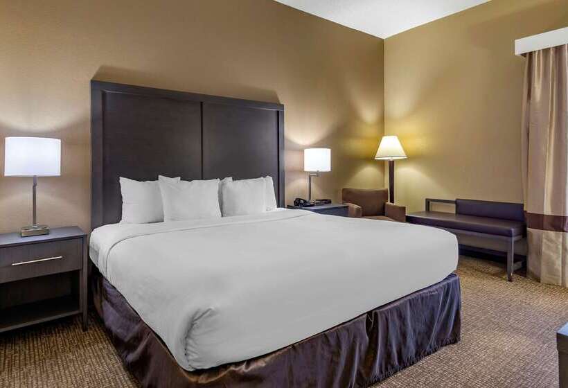 酒店 Comfort Inn Opelika  Auburn