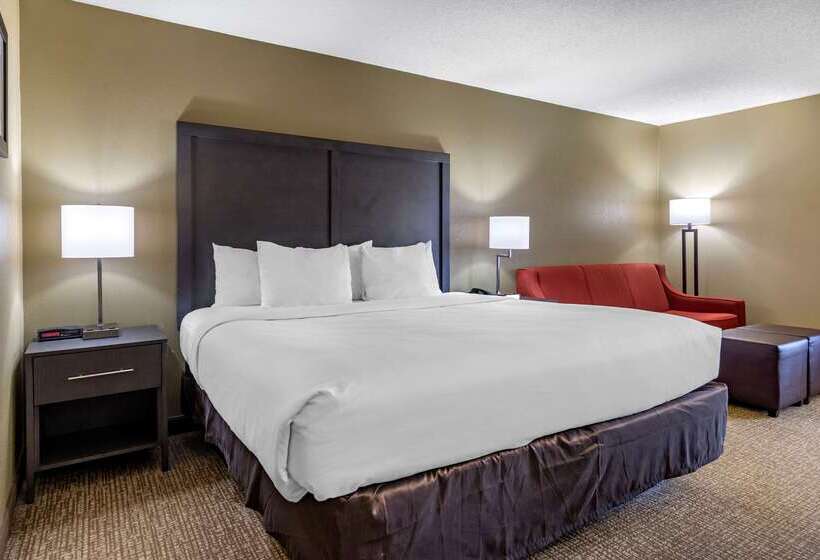 酒店 Comfort Inn Opelika  Auburn