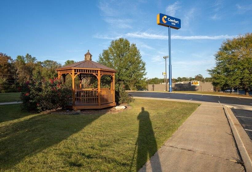酒店 Comfort Inn Opelika  Auburn