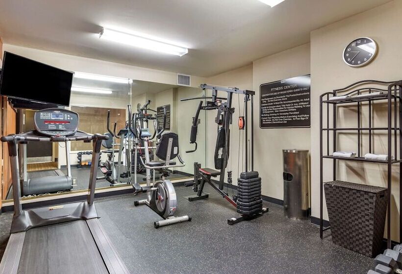 酒店 Comfort Inn Opelika  Auburn