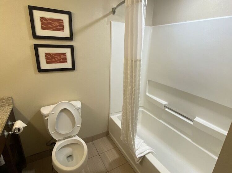 酒店 Comfort Inn Opelika  Auburn