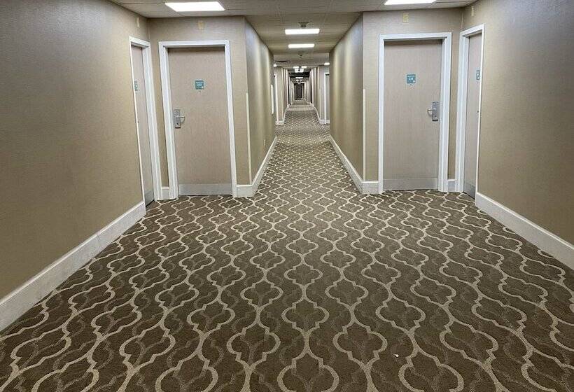 فندق Comfort Inn Pinehurst   Southern Pines