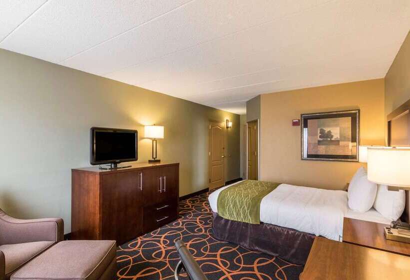 فندق Comfort Inn Plymouthminneapolis
