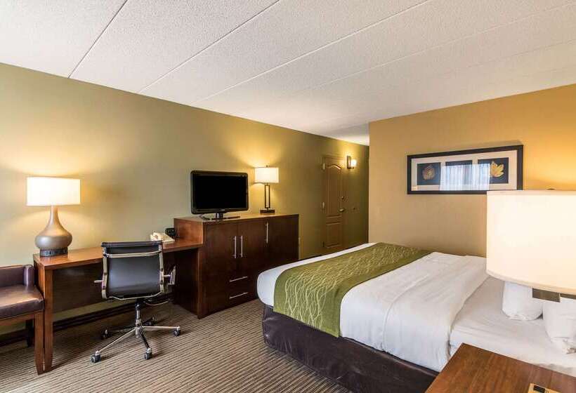فندق Comfort Inn Plymouthminneapolis