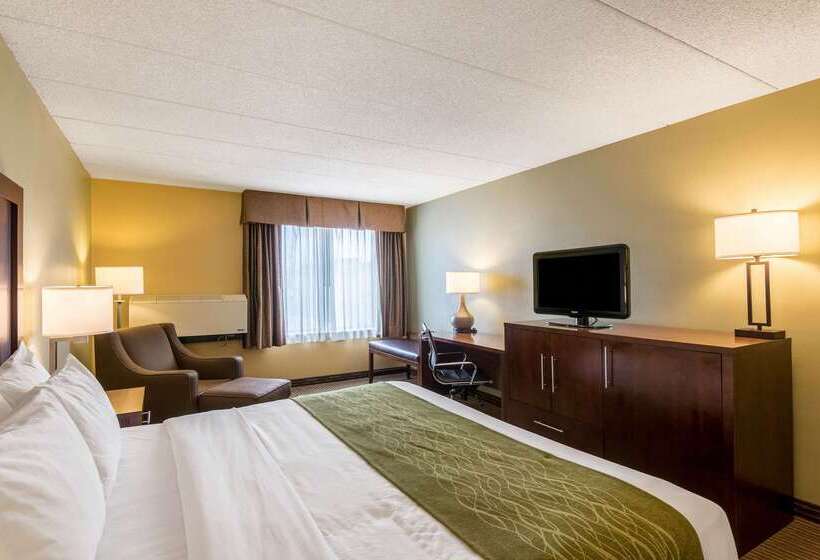 فندق Comfort Inn Plymouthminneapolis