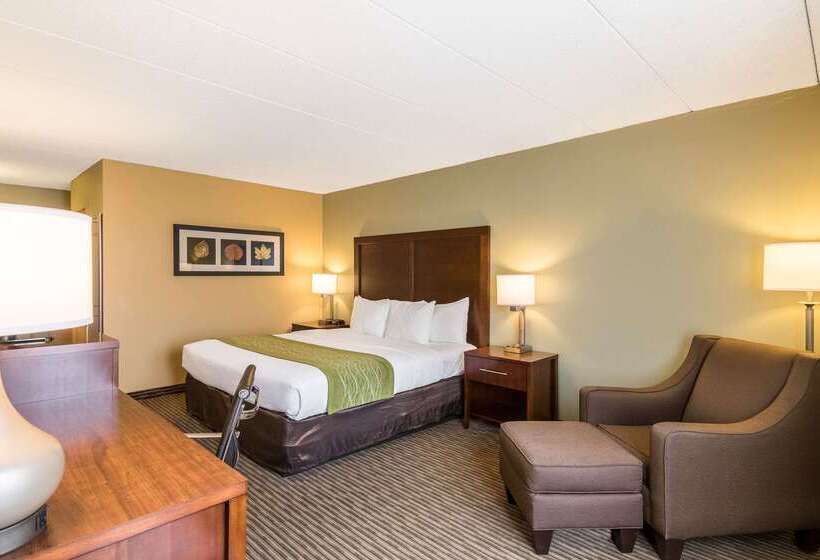 فندق Comfort Inn Plymouthminneapolis
