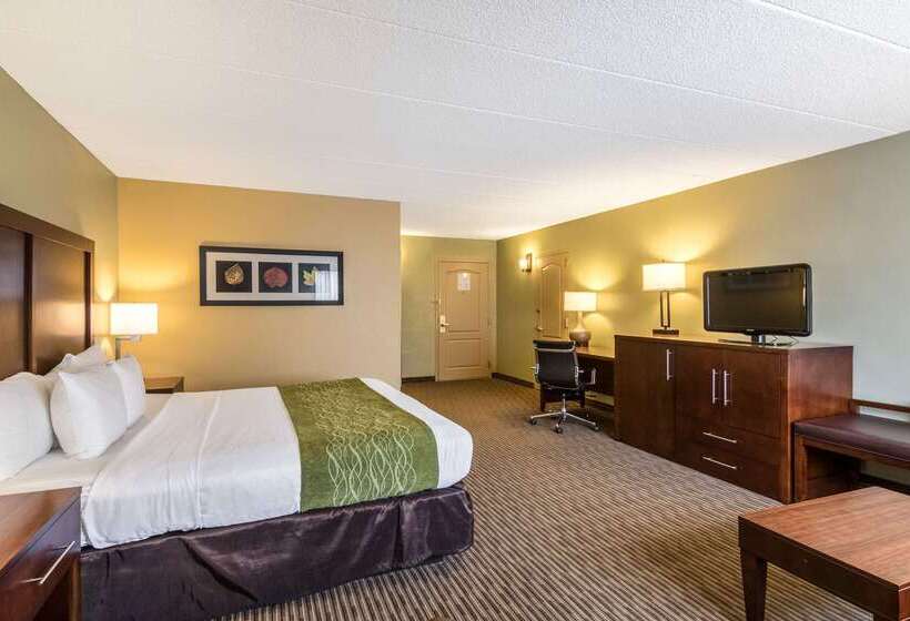 فندق Comfort Inn Plymouthminneapolis