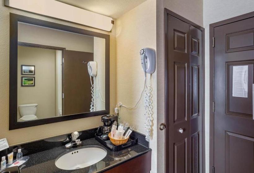 בית מלון כפרי Comfort Inn Redwood City