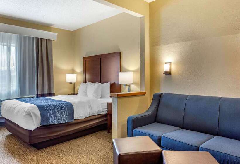 Отель Comfort Inn Rockford Near Casino District