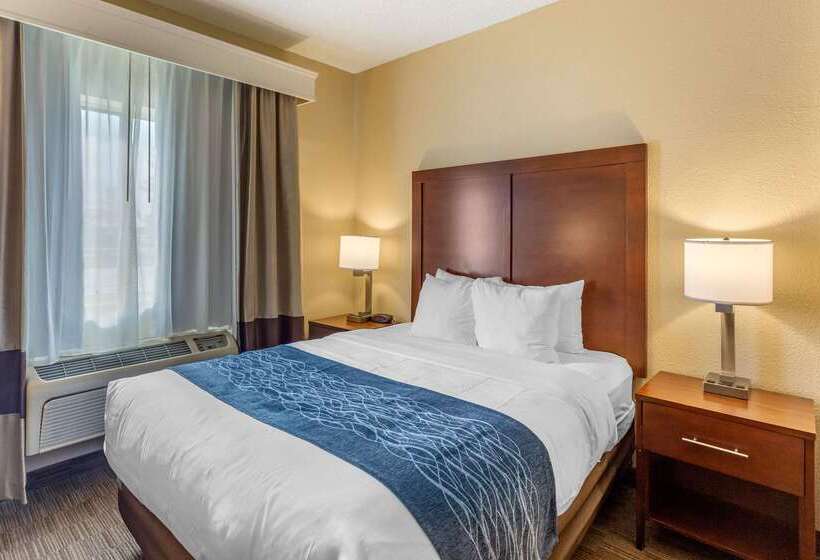 Отель Comfort Inn Rockford Near Casino District