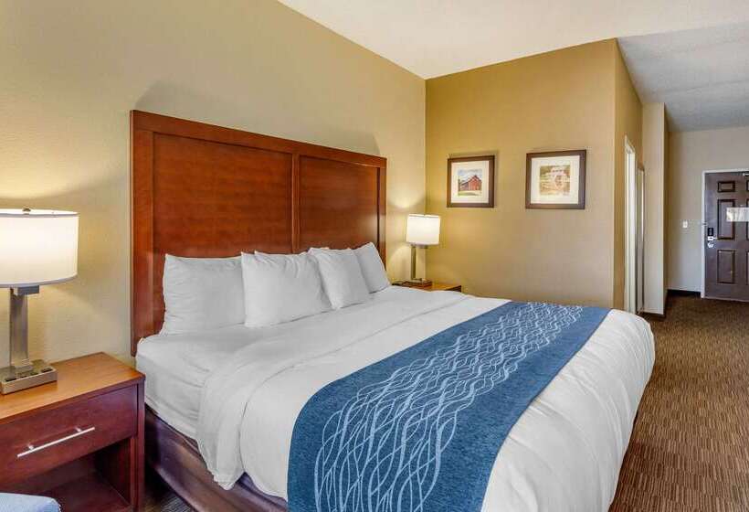 Отель Comfort Inn Rockford Near Casino District