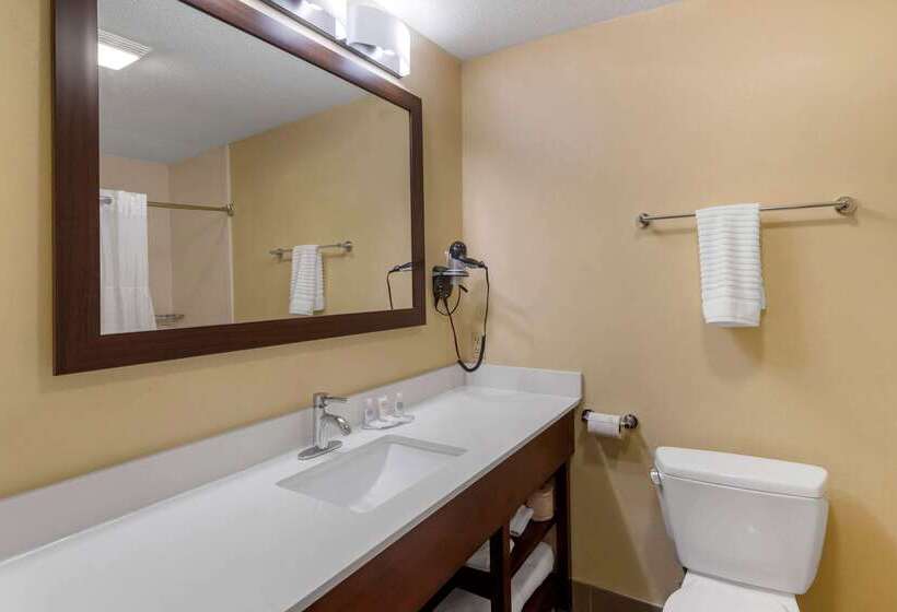 בית מלון כפרי Comfort Inn