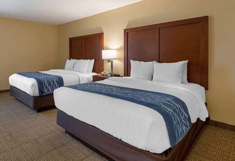 בית מלון כפרי Comfort Inn