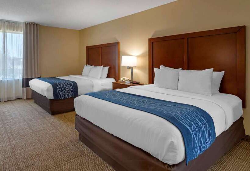 בית מלון כפרי Comfort Inn