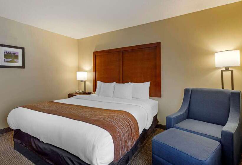 فندق Comfort Inn