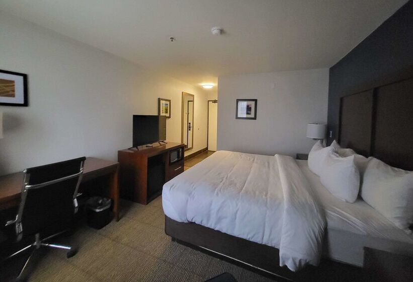 فندق Comfort Inn