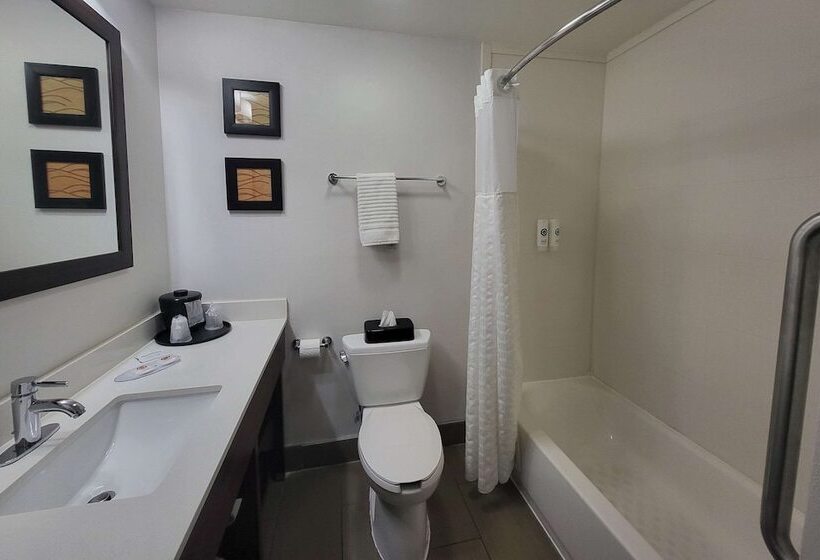 בית מלון כפרי Comfort Inn