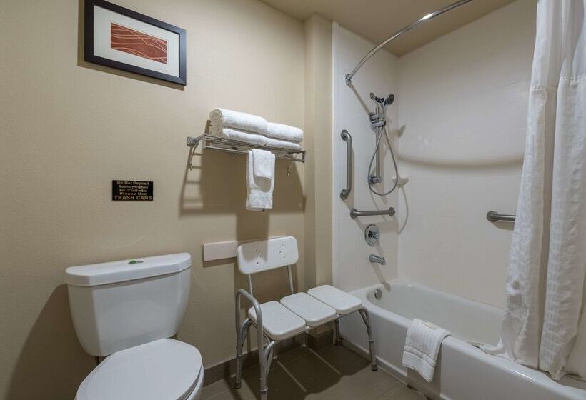 فندق Comfort Inn & Suites Alamosa