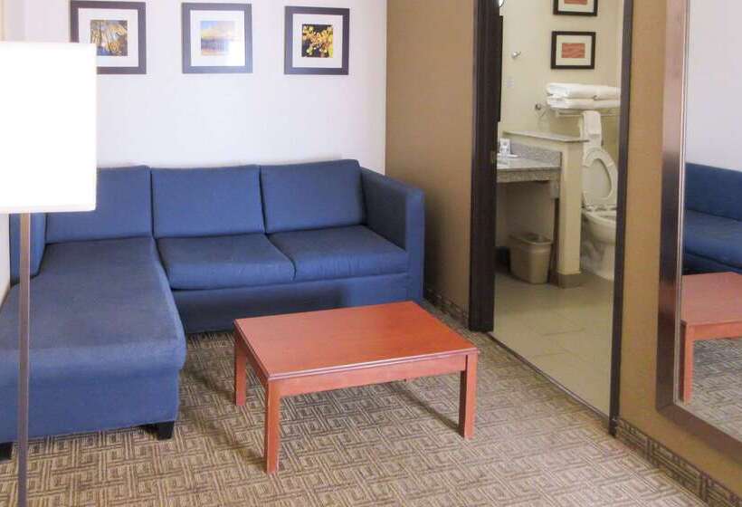 فندق Comfort Inn & Suites Alamosa