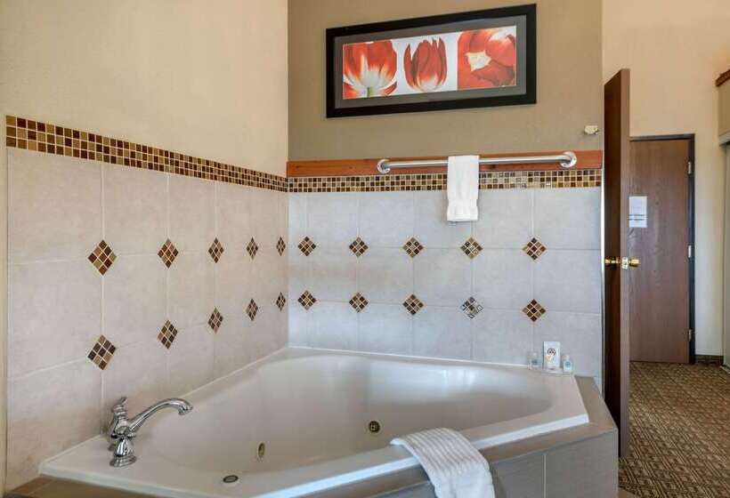 فندق Comfort Inn & Suites Alamosa