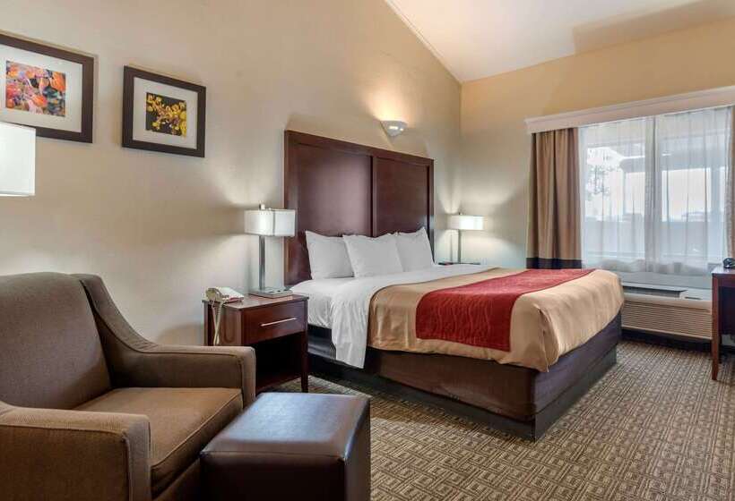 فندق Comfort Inn & Suites Alamosa
