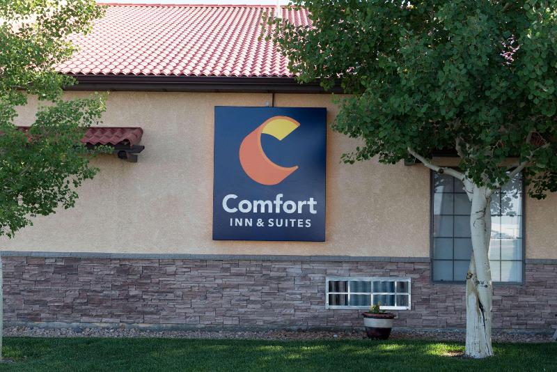 فندق Comfort Inn & Suites Alamosa