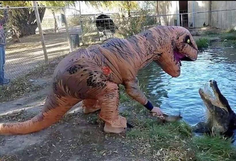 فندق Comfort Inn & Suites Alamosa