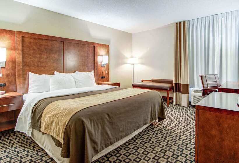 فندق Comfort Inn & Suites