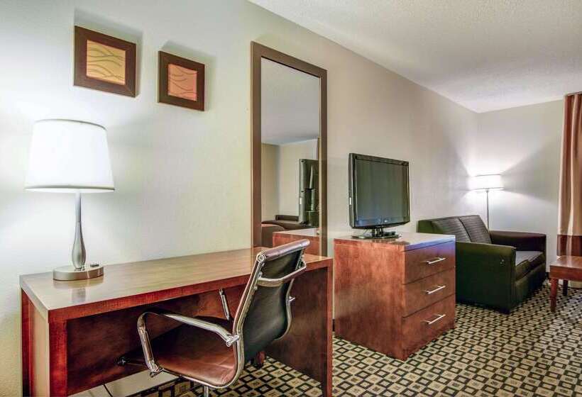 فندق Comfort Inn & Suites