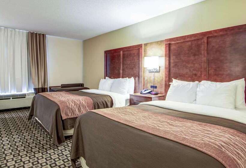 فندق Comfort Inn & Suites