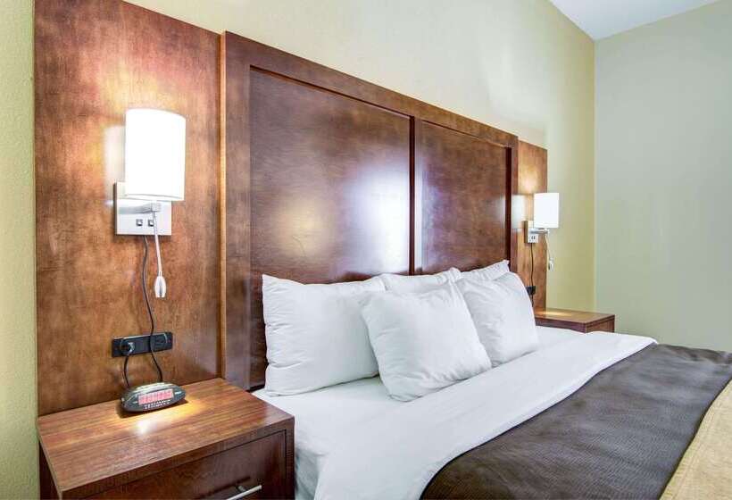 فندق Comfort Inn & Suites