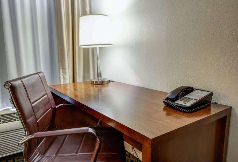 فندق Comfort Inn & Suites