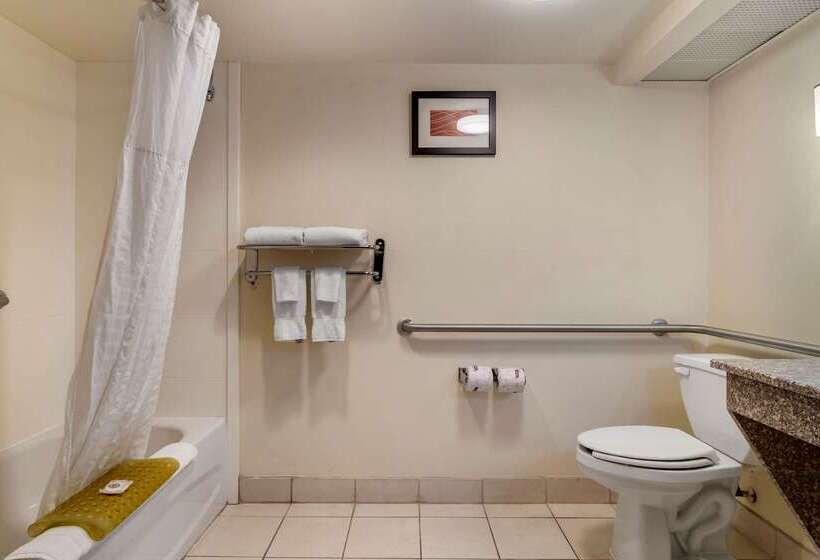 فندق Comfort Inn & Suites