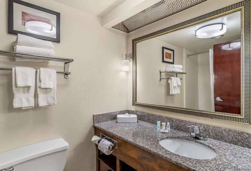 فندق Comfort Inn & Suites