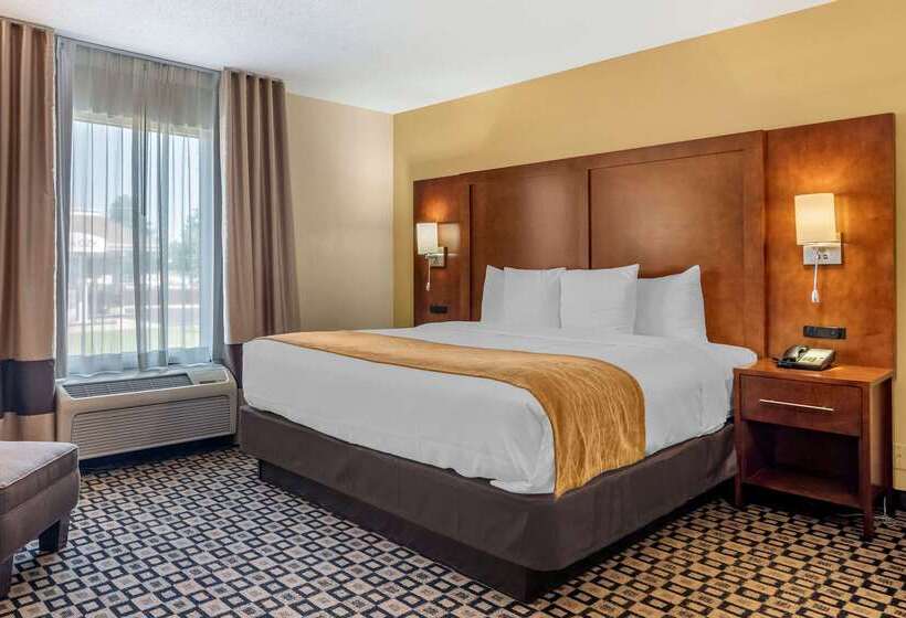 فندق Comfort Inn & Suites