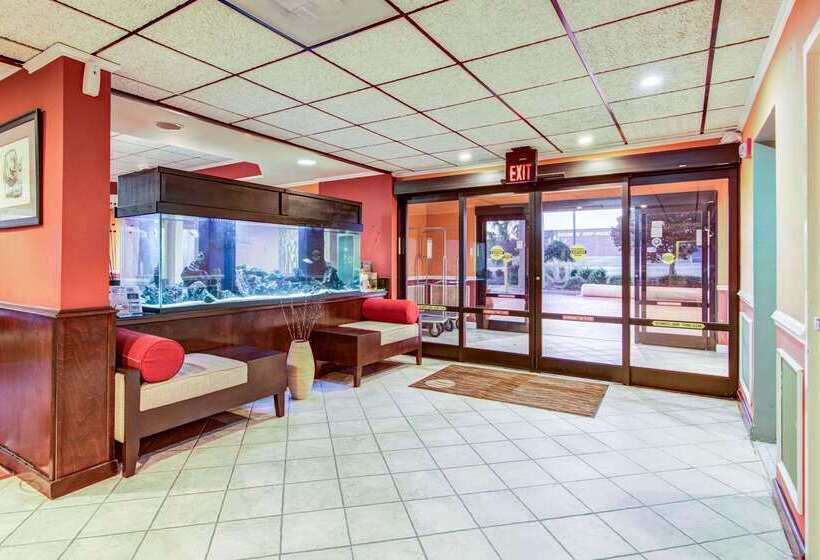 فندق Comfort Inn & Suites