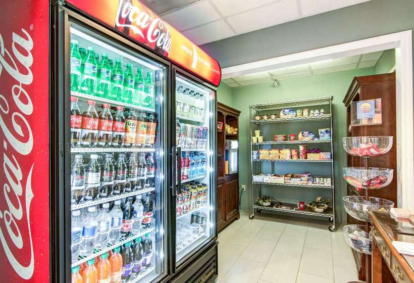 فندق Comfort Inn & Suites