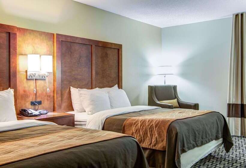 فندق Comfort Inn & Suites