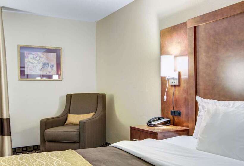 فندق Comfort Inn & Suites
