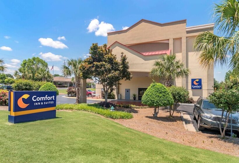 فندق Comfort Inn & Suites