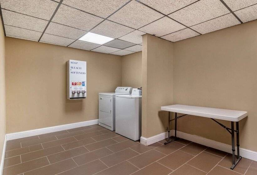 فندق Comfort Inn & Suites