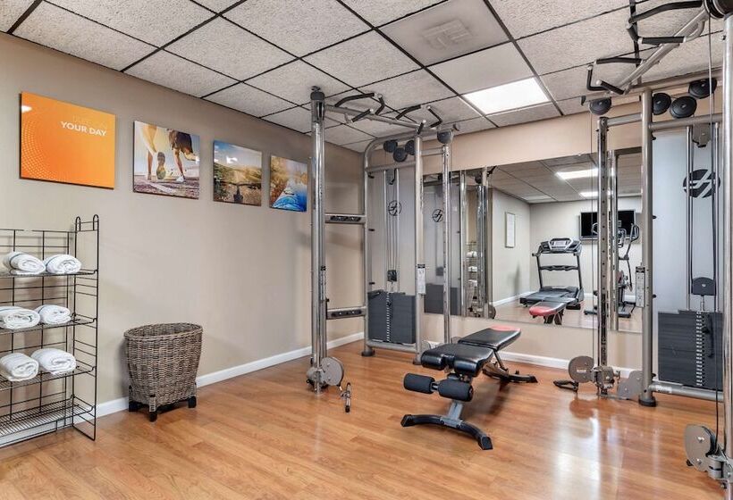 فندق Comfort Inn & Suites