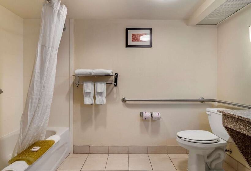 فندق Comfort Inn & Suites